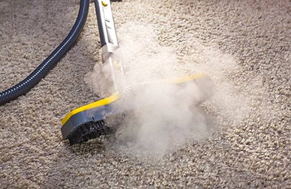Technician extracting a treated carpet stain in a Noblesville IN home